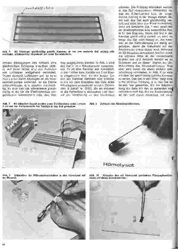 Vorschauseite 3: Transfusionskunde, Blutgruppenserologie, Immunhämatologie 24.Folge: Erbliche Blutmerkmale in den Erythrozyten