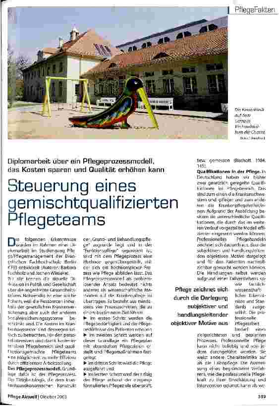 Vorschauseite 1: Steuerung eines gemischtqualifizierten Pflegeteams