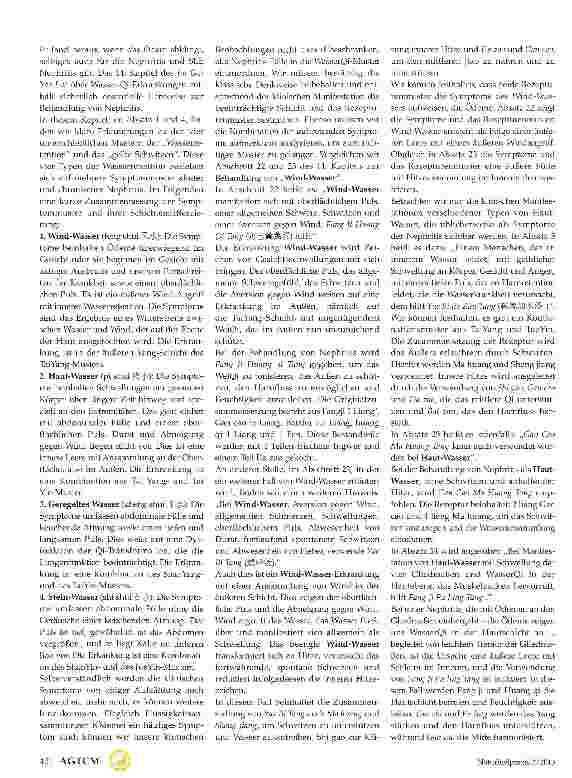 Vorschauseite 3: Die Behandlung von Nephritis nach klassischem Ansatz chinesischer Medizin