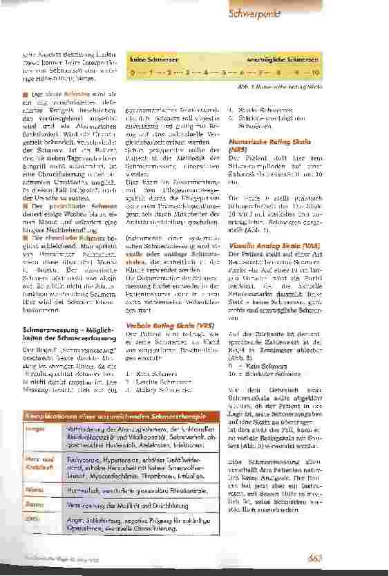 Vorschauseite 2: Schmerzmessung & Schmerzdokumentation