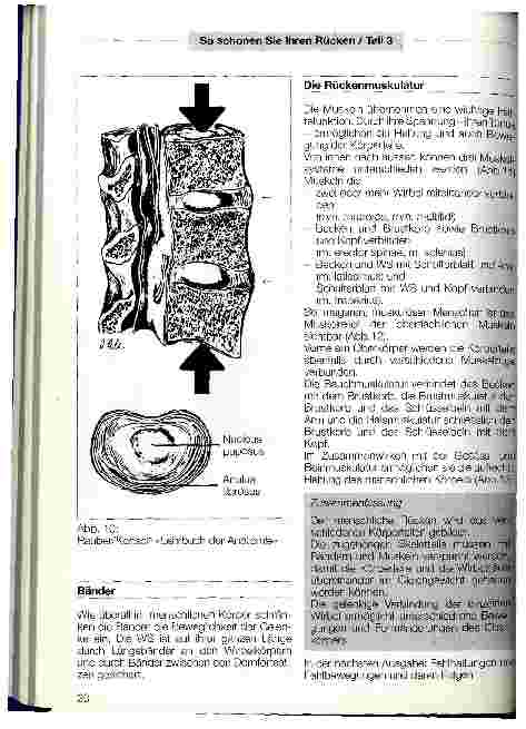 Vorschauseite 2: Anatomie und Funktion des Rückens (Rücken/Teil 3) Der menschliche Rücken ist die Rück-Seite des Oberkörpers