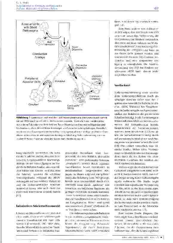 Vorschauseite 3: Respiratorisches Versagen im Kindesalter