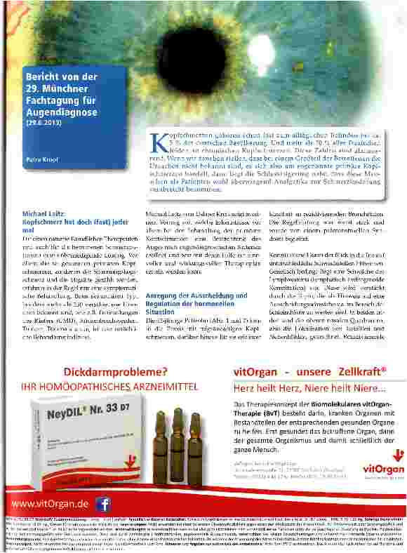 Vorschauseite 1: Bericht von der 29. Münchner Fachtagung für Augendiagnose (29.6.2013)
