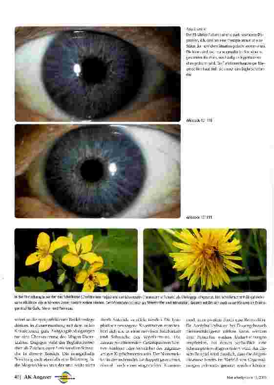 Vorschauseite 3: Bericht von der 29. Münchner Fachtagung für Augendiagnose (29.6.2013)