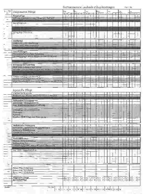 Vorschauseite 4: Die Realisierung der Pflegeplanung und Pflegedokumentation im Akutkrankenhaus