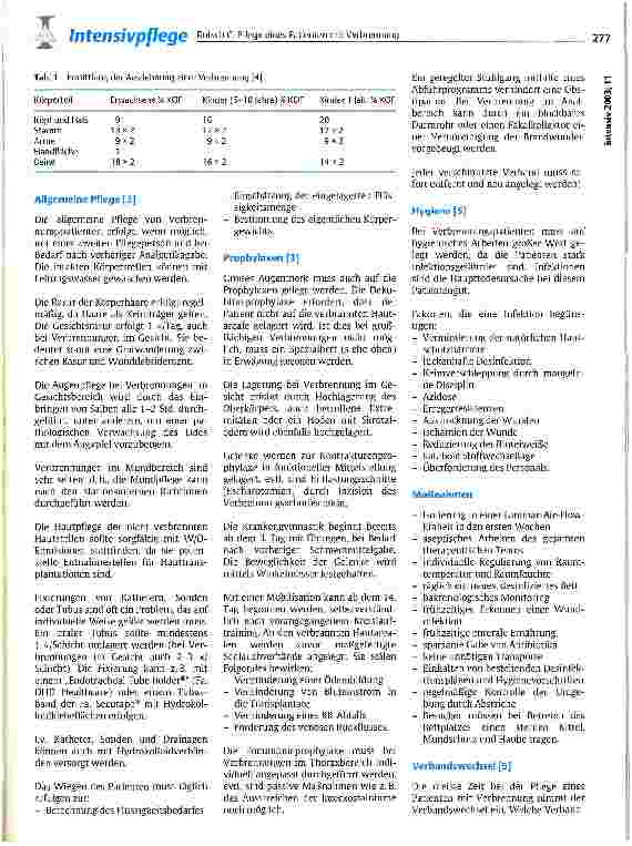 Vorschauseite 2: Pflege eines Patienten mit Verbrennung