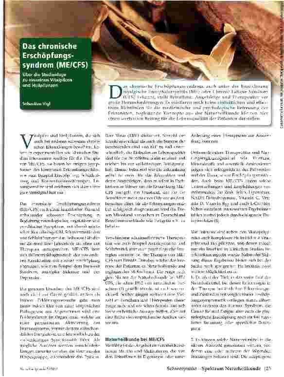 Vorschauseite 1: Das chronische Erschöpfungs-syndrom