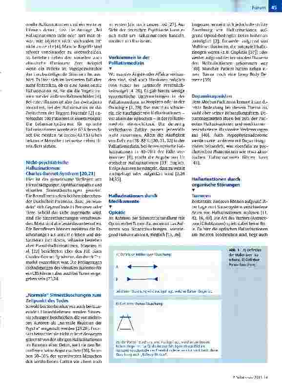 Vorschauseite 2: Sinnestäuschungen in der Pailiativmedizin