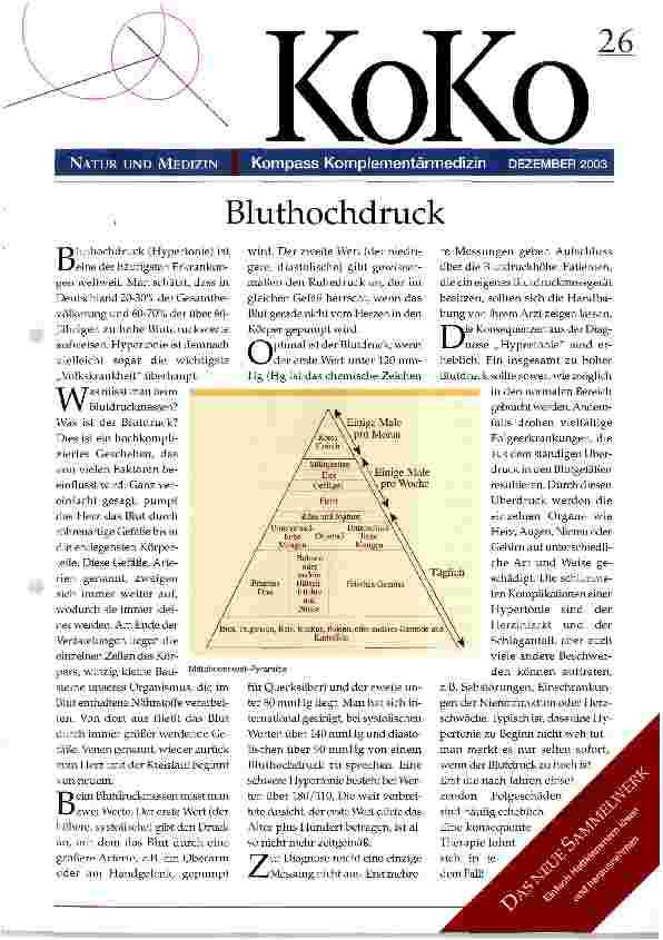 Vorschauseite 1: Bluthochdruck