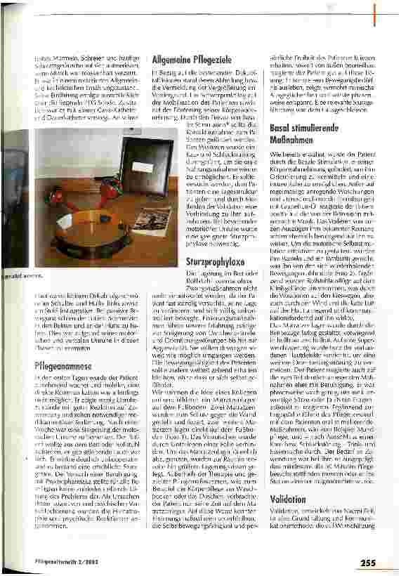 Vorschauseite 2: Kreativität statt pflegerisches Einerlei