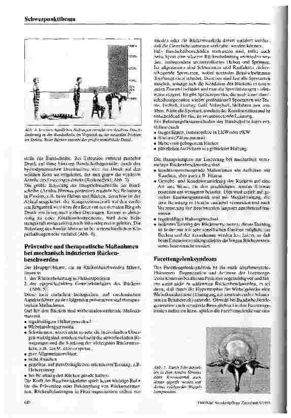 Vorschauseite 3: Rückenschmerzen und Wirbelsäulenmechanik