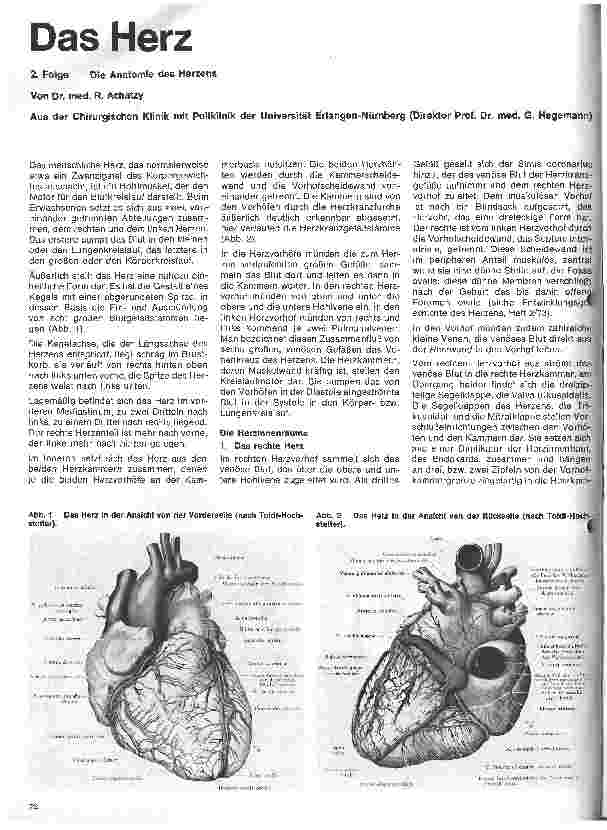Vorschauseite 1: Das Herz 2.Folge: Die Anatomie des Herzens
