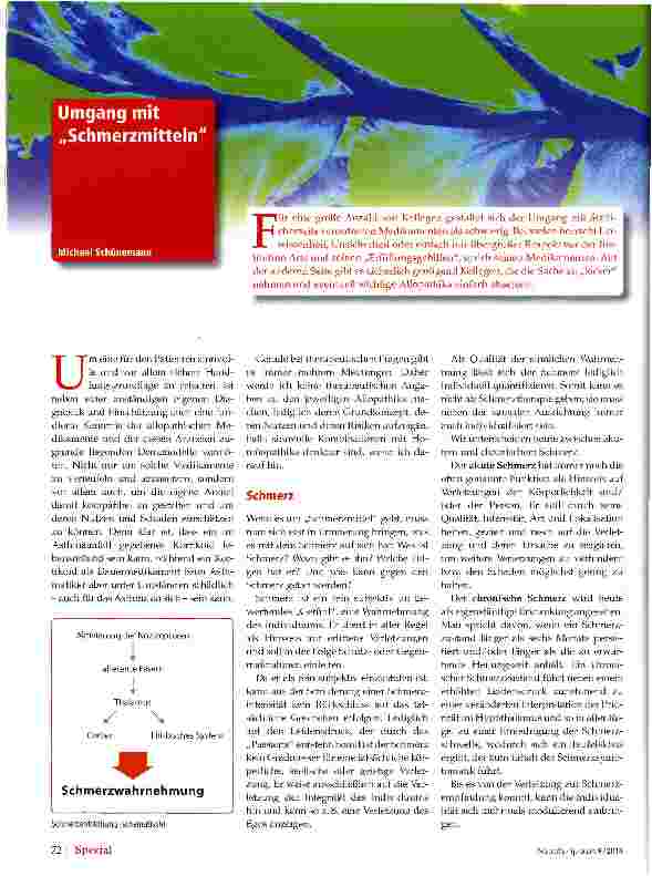 Vorschauseite 1: Umgang mit Schmerzmitteln