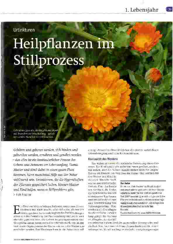 Vorschauseite 1: Heilpflanzen im Stillprozess
