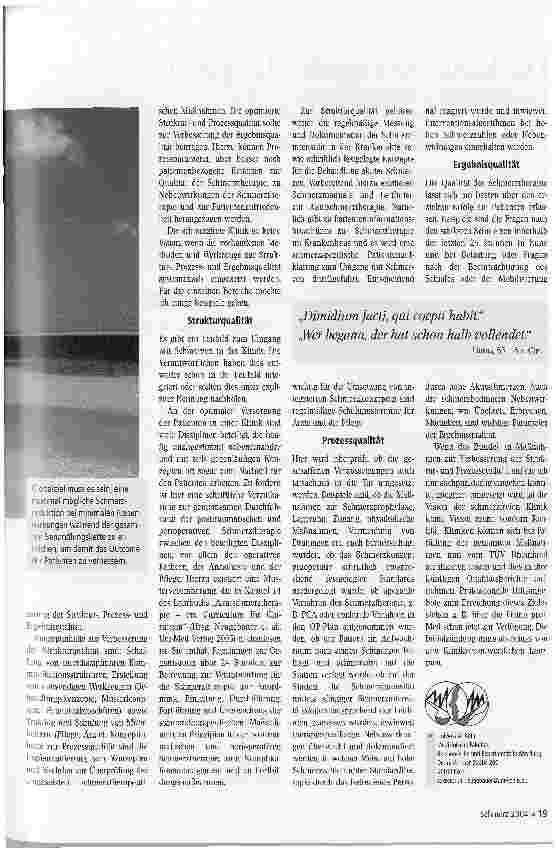 Vorschauseite 2: Die schmerzfreie Klinik - (k)eine Vision?