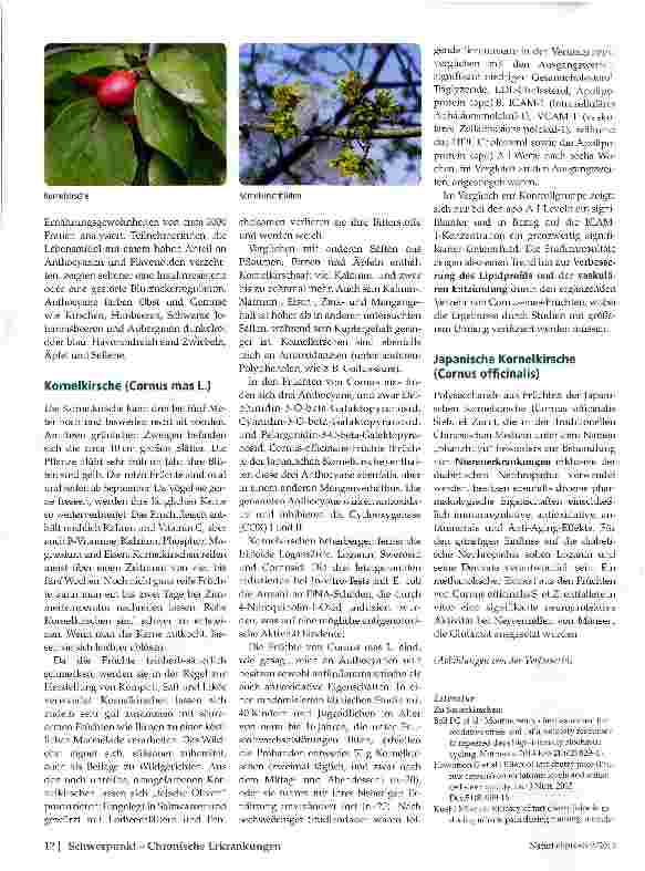 Vorschauseite 3: Kirschen