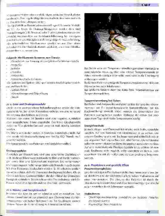 Vorschauseite 5: Postoperative Pflege von herzkranken Kindern Vorbereitung der Übernahme sowie die Pflege von Kindern nach herzchirurgischen Eingriffen