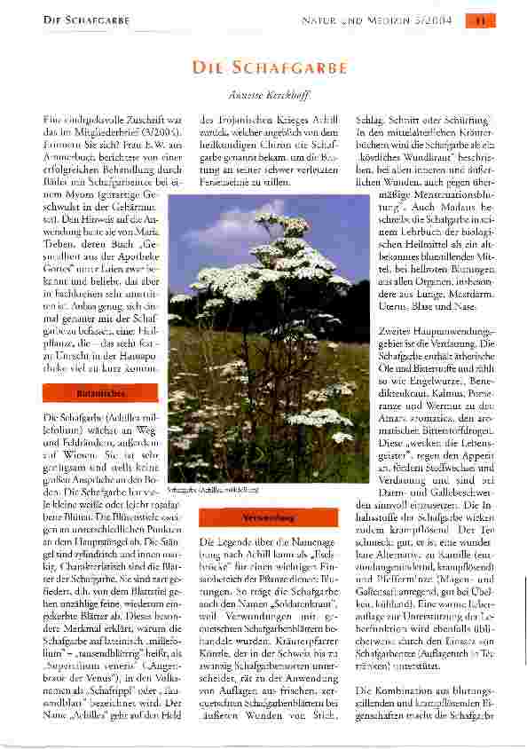 Vorschauseite 1: DIE SCHAFGARBE