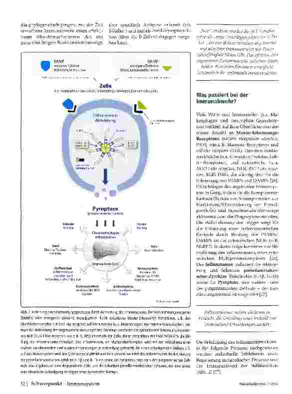 Vorschauseite 3: Nahrung als Medizin