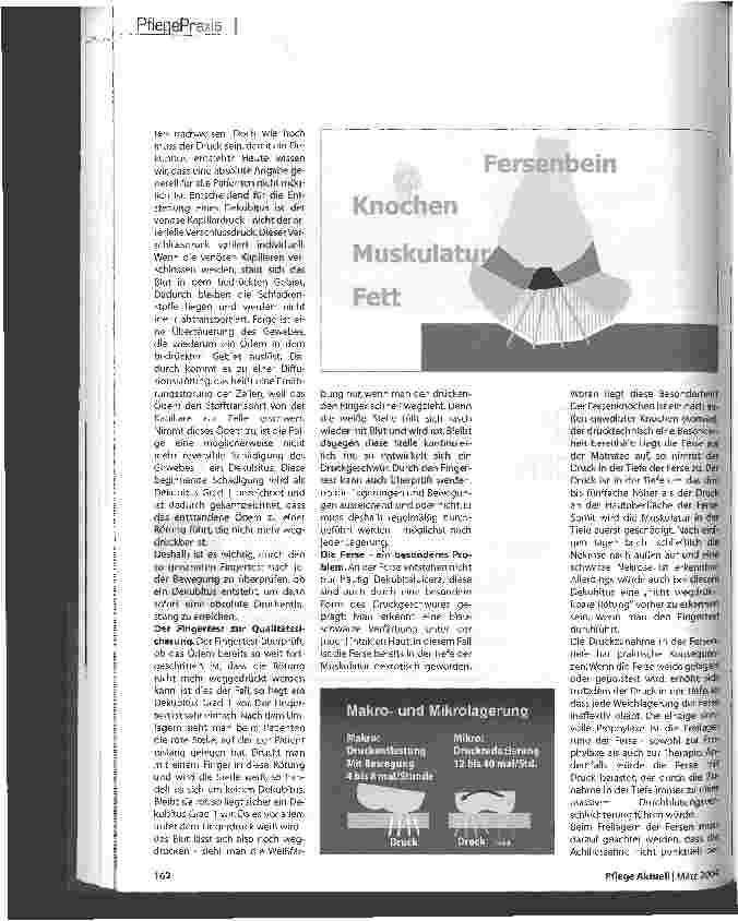 Vorschauseite 2: Mit Fingerspitzengefühl und Fachwissen