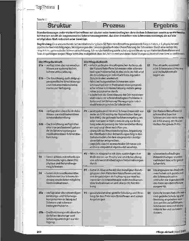 Vorschauseite 3: Schmerzmanagement - Aufgabe der Pflege