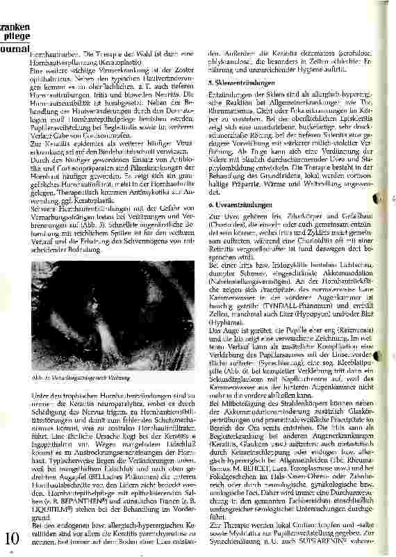 Vorschauseite 4: Entzündliche Erkrankungen des Auges Klinik und Therapie