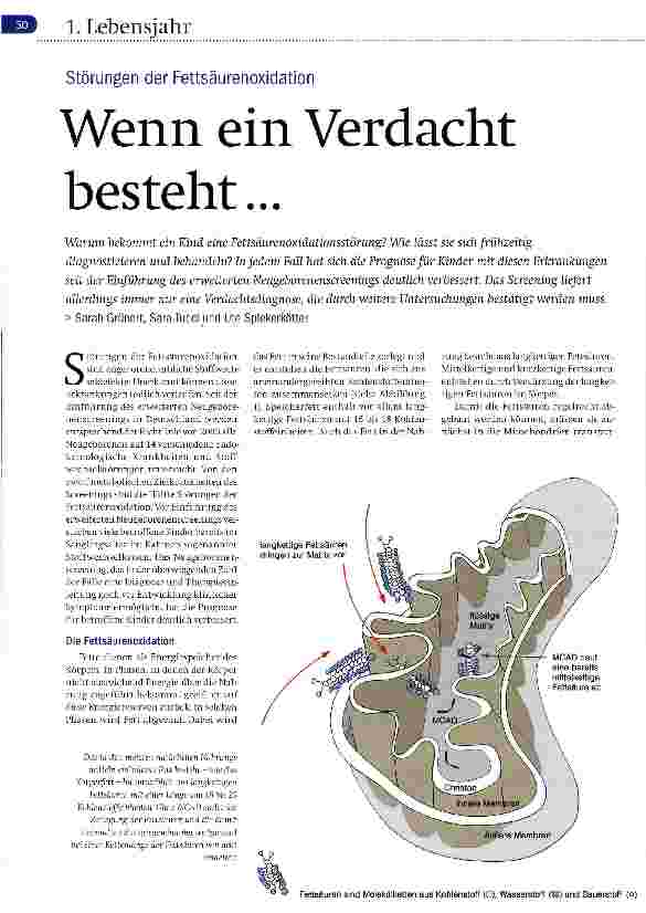 Vorschauseite 1: Wenn ein Verdacht besteht...