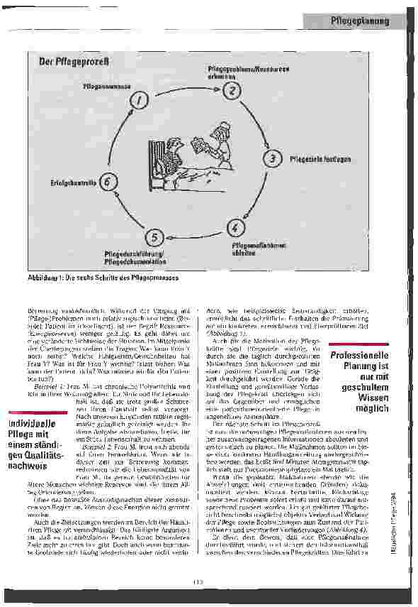 Vorschauseite 2: Beweis von Pflegekompetenz Pflegeplanung in der Häuslichen Pflege