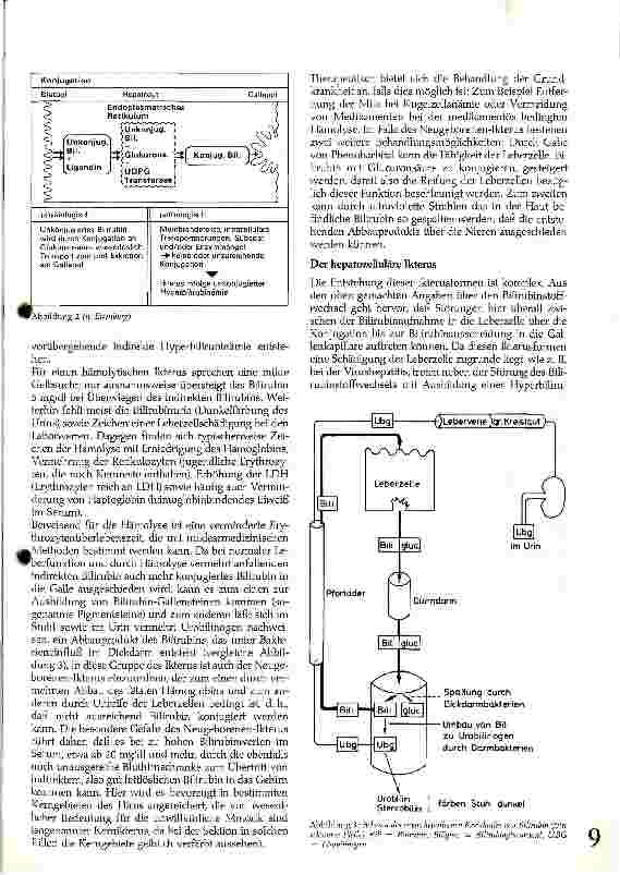 Vorschauseite 2: Leitsymptom Ikterus