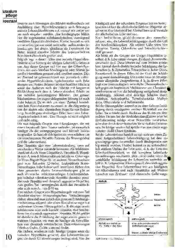 Vorschauseite 3: Leitsymptom Ikterus