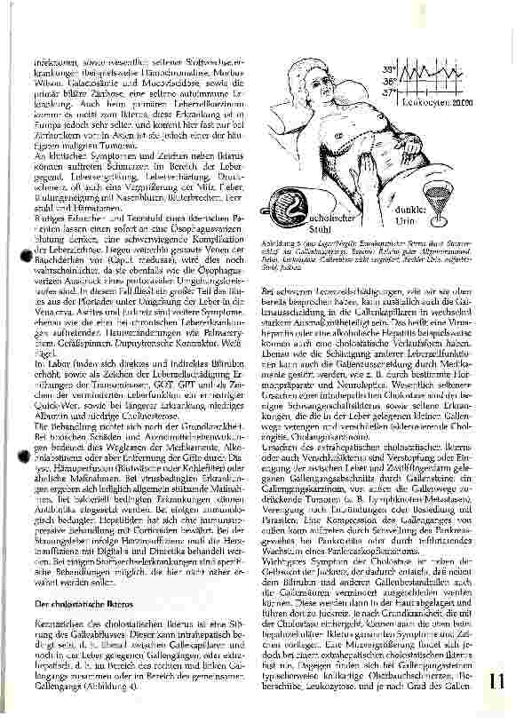 Vorschauseite 4: Leitsymptom Ikterus