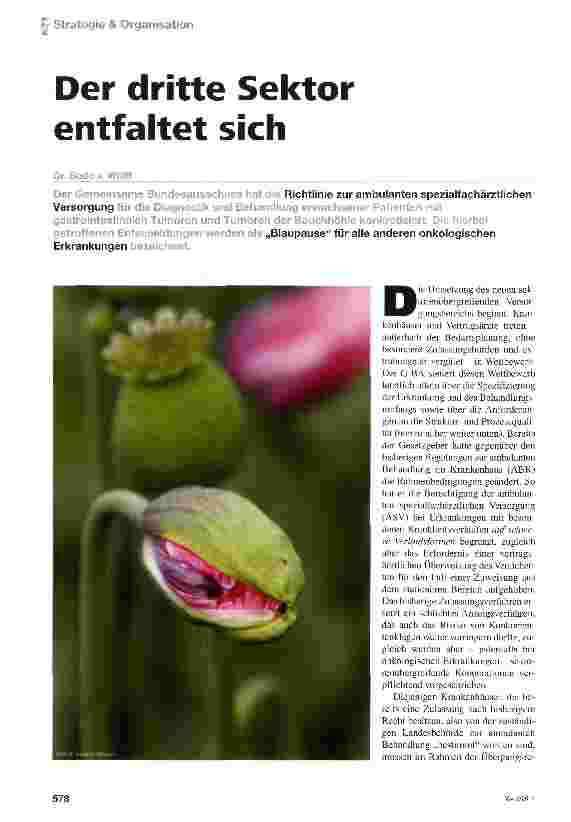 Vorschauseite 1: Der dritte Sektor entfaltet sich
