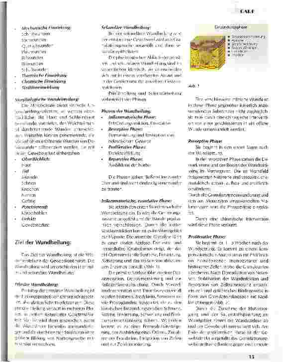 Vorschauseite 2: Wundheilung und Wundbehandlung Teil 1: Ein Beitrag aus der Praxis