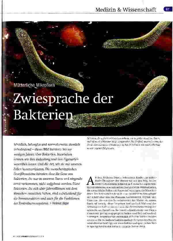 Vorschauseite 1: Zwiesprache der Bakterie