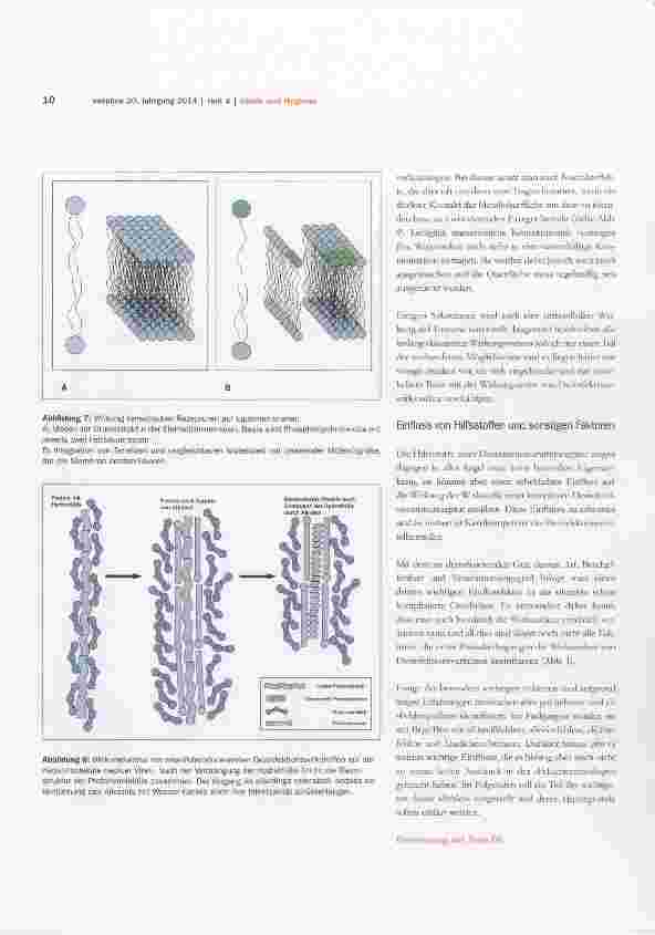 Vorschauseite 6: Bewertung der ATP-Biolunnineszenz-Methode zum Nachweis der Restkontamination gereinigter Medizinprodukte