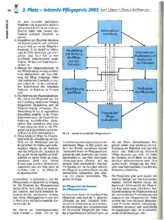 Vorschauseite 3: Die Pflegevisite als strukturierendes Element im Pflegeprozess