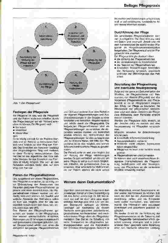 Vorschauseite 2: Pflegeplanung und Pflegedokumentation
