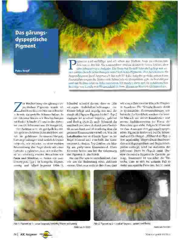 Vorschauseite 1: Das gärundyspeptische Pigment