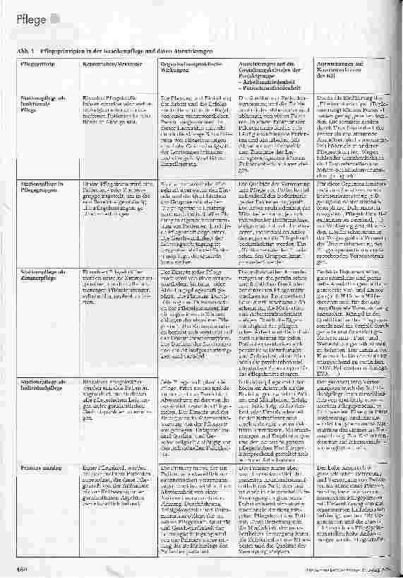 Vorschauseite 3: Bereichsund Bezugspflege im Spannungsfeld zwischen Theorie und Praxis