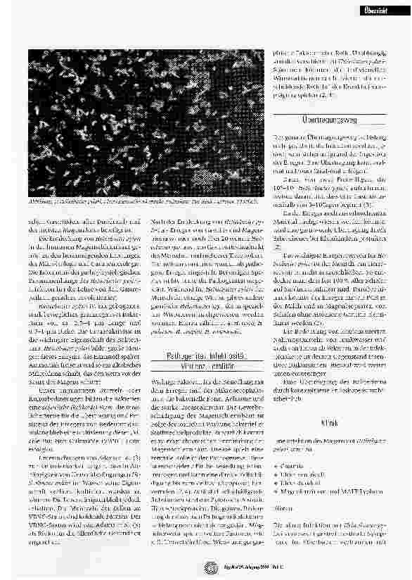 Vorschauseite 2: Die infektionsepidemiologische Bedeutung von Helicobacterpylori - mit besonderer Berücksichtigung von unbehandeltem Brunnenwasser als Infektionsreservoir