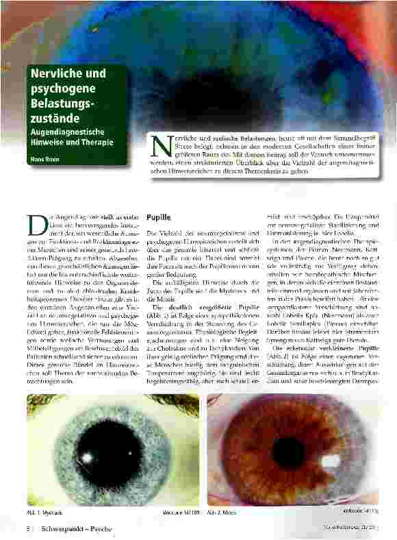 Vorschauseite 1: Nervliche und psychogene Belastungszustände