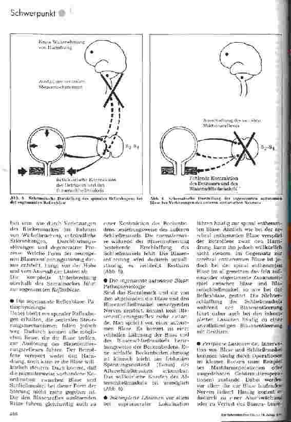 Vorschauseite 4: Blasenentleerungstechniken bei neurogener Blasendysfunktion