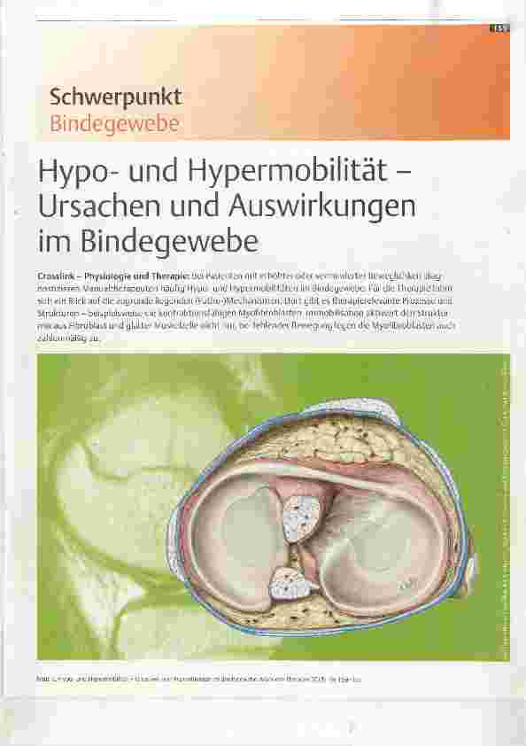 Vorschauseite 1: Hypound Hypermobilität Ursachen und Auswirkungen im Bindegewebe