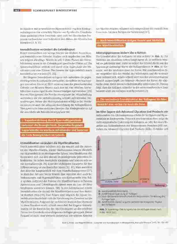 Vorschauseite 4: Hypound Hypermobilität Ursachen und Auswirkungen im Bindegewebe
