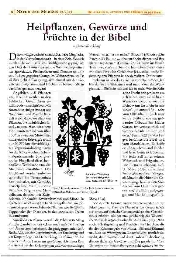 Vorschauseite 1: Heilpflanzen, Gewürze und Früchte in der Bibel