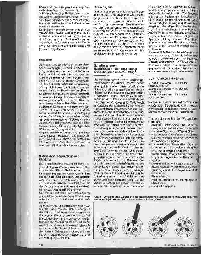 Vorschauseite 4: Das Berufsbild des Krankenpflegepersonals in der Endoskopie