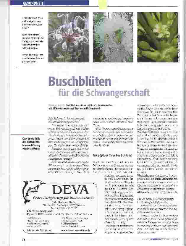 Vorschauseite 1: Buschblüten für die Schwangerschaft