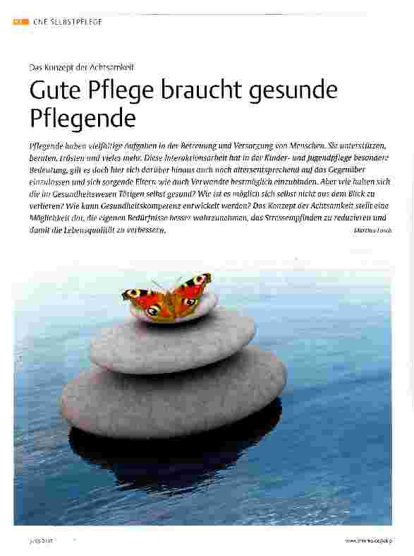 Vorschauseite 1: Gute Pflege braucht gesunde Pflegende