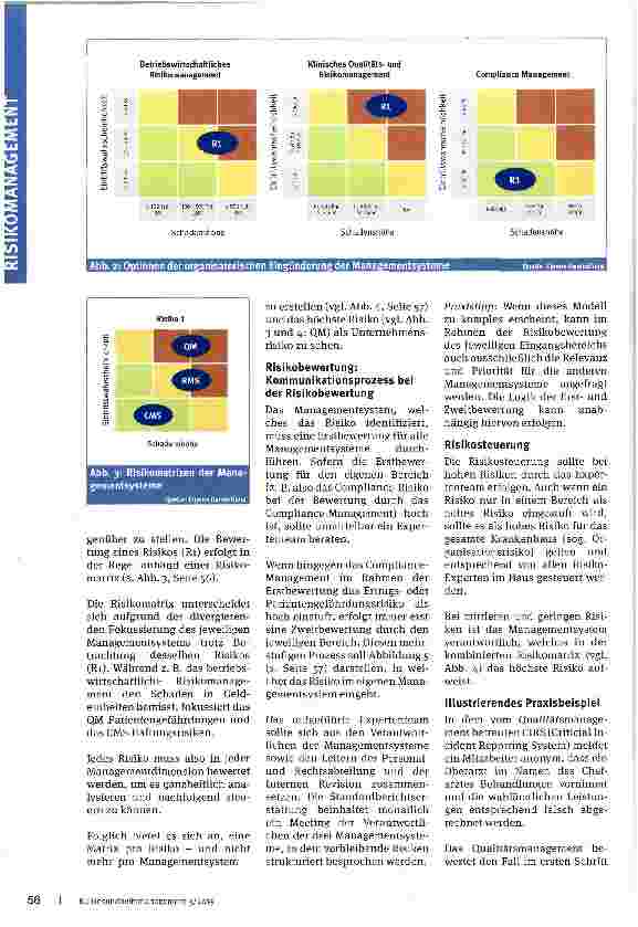 Vorschauseite 3: Organisation eines ganzheit liehen Risikomanagements