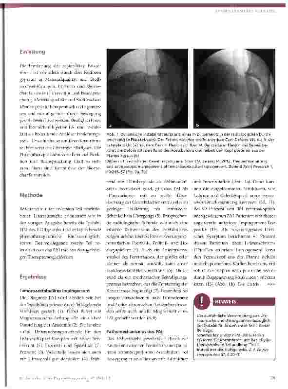 Vorschauseite 2: Risikofaktoren für Koxarthrose und ihre physiotherapeutische Behandlung Teil 2 -femoroacetabuläres Impingement (FAI)